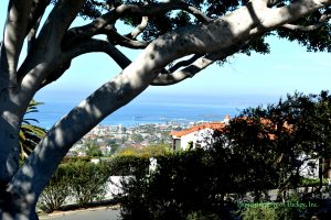 High on the Point Loma grade looking northward towards the Ocean Beach Pier