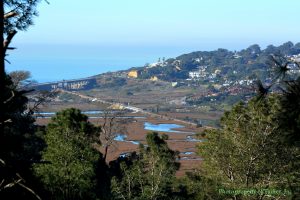 South Del Mar Carmel Valley Coastal, Del Mar Real Estate