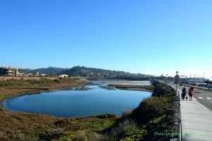 Del Mar real estate: Looking south across the San Dieguito Lagoon State Marine Conservation Area, with the Del Mar Fairgrounds and Racetrack on the left and beautiful beachfront homes on the right.